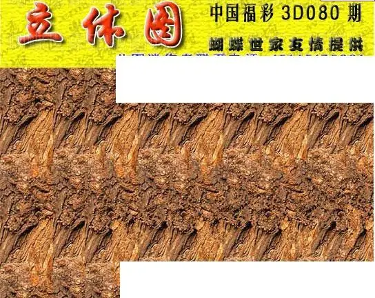 25080期: 3D蝴蝶世家蝴蝶彩图