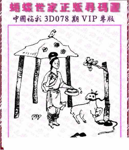 24078期: 3D蝴蝶世家蝴蝶彩图