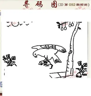 九宝图26092期福彩3D寻码图