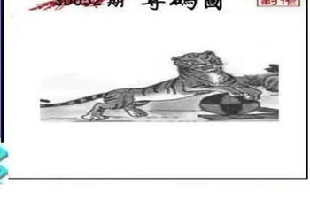 26052期: 三毛3D精品图谜