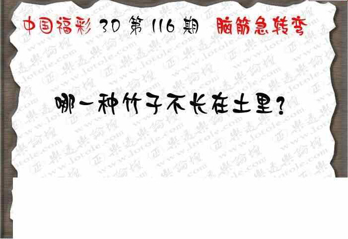 24116期: 3D蝴蝶世家蝴蝶彩图