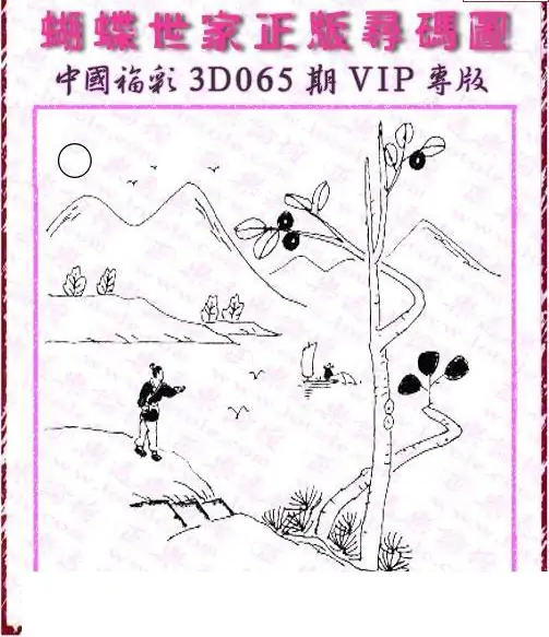 25065期: 3D蝴蝶世家蝴蝶彩图