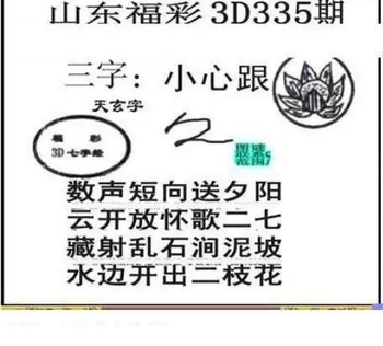 25335期: 三毛3D精品图谜