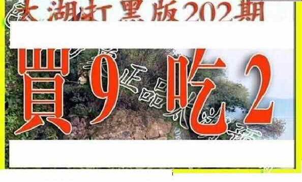 24202期: 太湖图福彩3D精品预测