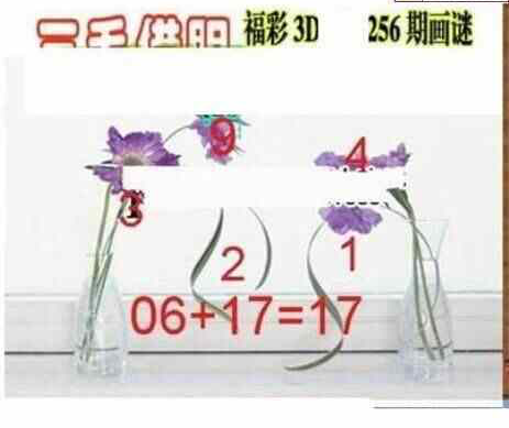 24256期: 三毛3D精品图谜