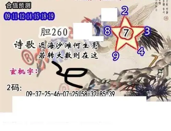 26051期: 白老3D杀码图版