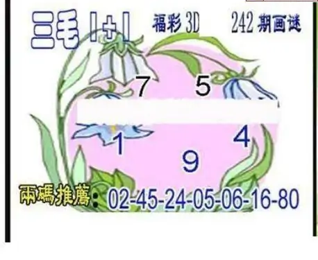 25242期: 三毛3D精品图谜