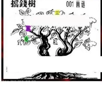 26001期: 三毛3D精品图谜