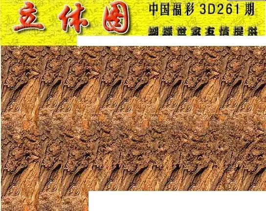 25261期: 3D蝴蝶世家蝴蝶彩图