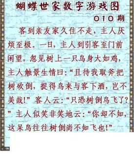 26010期: 3D蝴蝶世家蝴蝶彩图