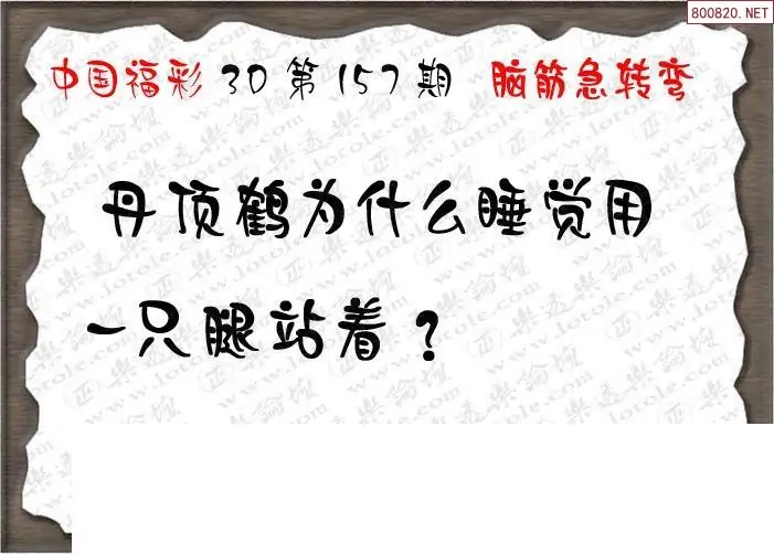 25157期: 3D蝴蝶世家蝴蝶彩图