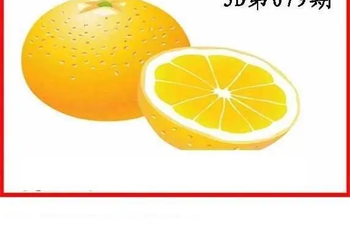 26079期: 白老3D杀码图版