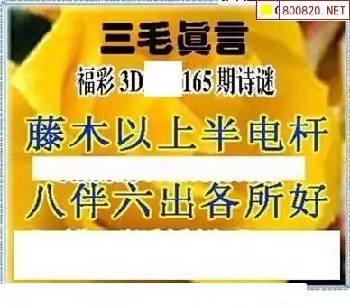 25165期: 三毛3D精品图谜