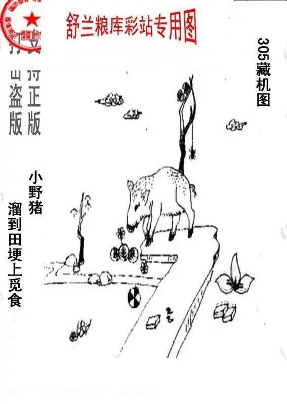 25305期: 老村长福彩3D天天图谜