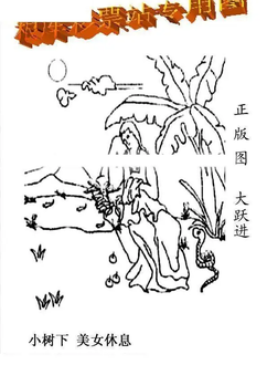 25345期: 老村长福彩3D天天图谜