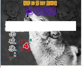 25337期: 三毛3D精品图谜