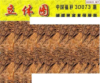 26073期: 3D蝴蝶世家蝴蝶彩图