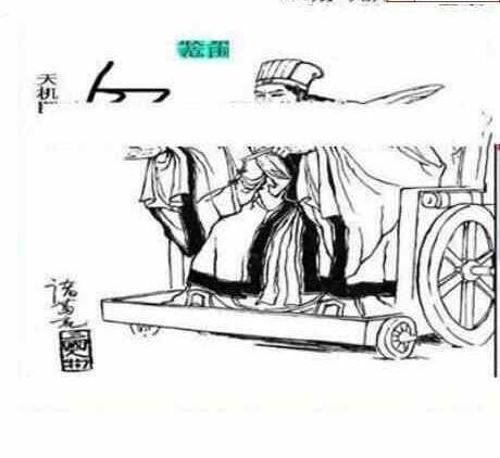 25044期: 三毛3D精品图谜