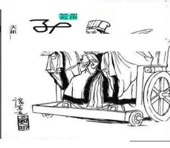 25340期: 三毛3D精品图谜