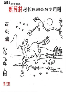 26051期: 老村长福彩3D天天图谜