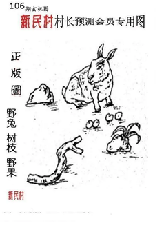 26106期: 老村长福彩3D天天图谜