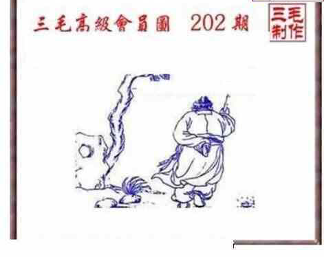 24202期: 三毛3D精品图谜