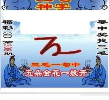 25308期: 三毛3D精品图谜