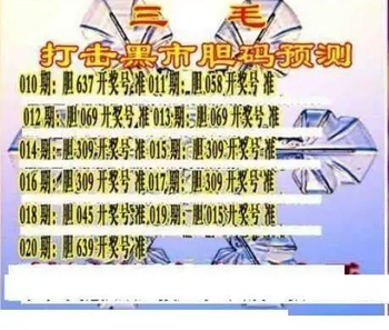 26020期: 三毛3D精品图谜