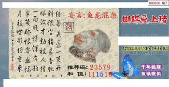 26060期: 3D蝴蝶世家蝴蝶彩图