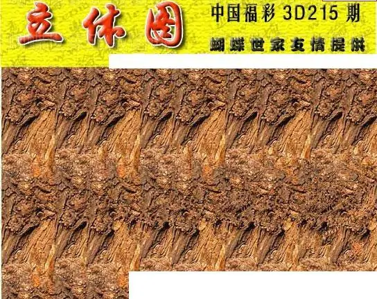 25215期: 3D蝴蝶世家蝴蝶彩图