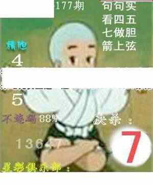 24177期: 白老3D杀码图版