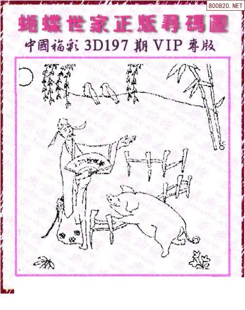 25197期: 3D蝴蝶世家蝴蝶彩图