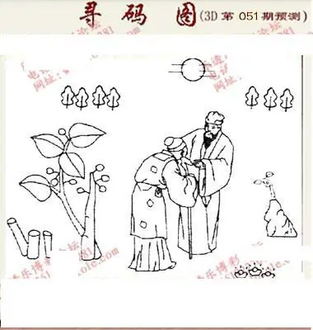 九宝图26051期福彩3D寻码图