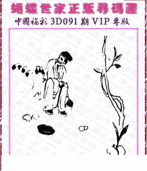 24091期: 3D蝴蝶世家蝴蝶彩图