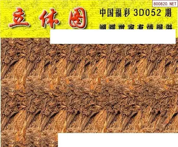 26052期: 3D蝴蝶世家蝴蝶彩图