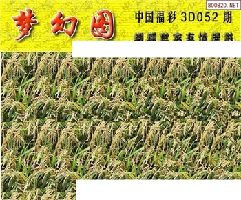 26052期: 3D蝴蝶世家蝴蝶彩图