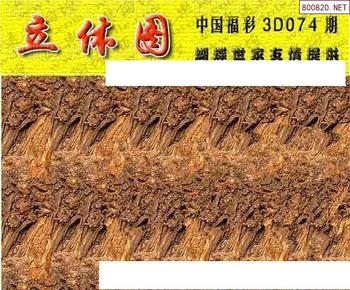 26074期: 3D蝴蝶世家蝴蝶彩图