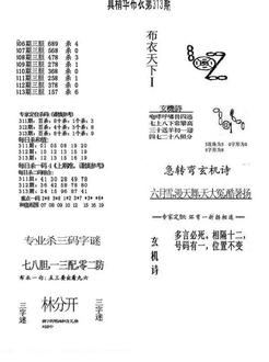 25313期: 福彩3D全套图版参考
