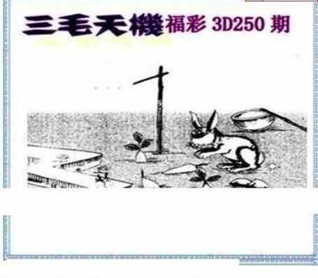 24250期: 三毛3D精品图谜