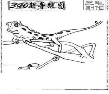 25346期: 三毛3D精品图谜