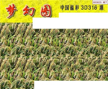 25316期: 3D蝴蝶世家蝴蝶彩图