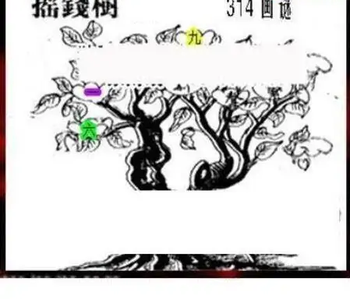 25314期: 三毛3D精品图谜