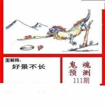 24111期: 白老3D杀码图版