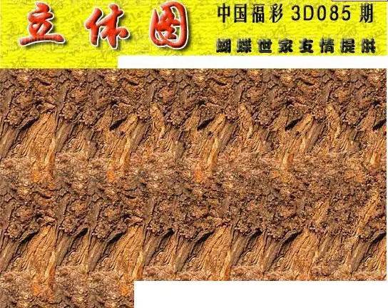 25085期: 3D蝴蝶世家蝴蝶彩图