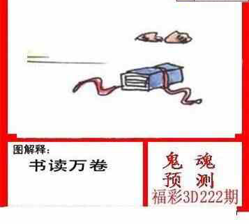 24222期: 白老3D杀码图版