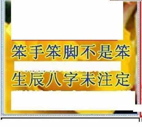 24071期: 三毛3D精品图谜