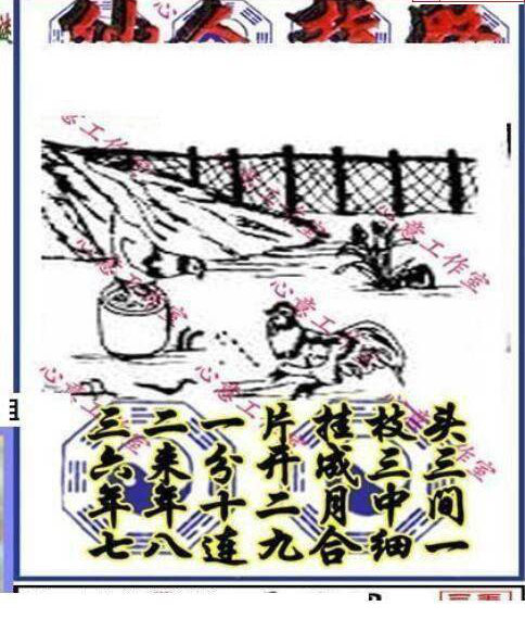 25014期: 三毛3D精品图谜