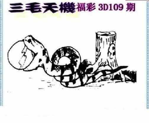 24109期: 三毛3D精品图谜