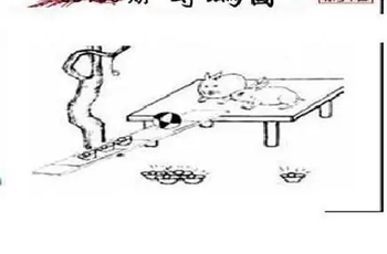 26100期: 三毛3D精品图谜