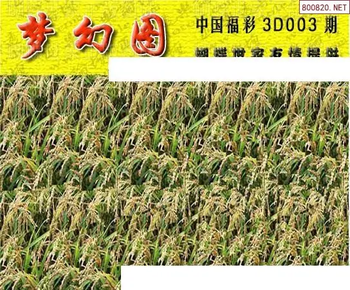 26003期: 3D蝴蝶世家蝴蝶彩图